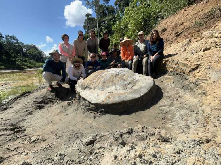o-dia-em-que-brasileiros-encontraram-o-fossil-da-maior-tartaruga-de-agua-doce-do-mundo